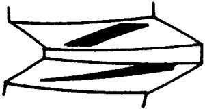 FX݆͜pX݆g(sh)Zӹ݆X|zԇ