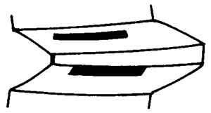FX݆͜pX݆g(sh)Zӹ݆X|zԇ